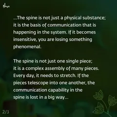 The spine is not just a physical substance; it is the basis of communication within your system. Daily stretching through practices like Yoga Namaskar is essential to maintain this capability.
