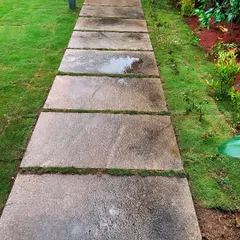 A close-up of a natural stone pathway after a light rain. The wet stones bring out the texture and color, creating a serene garden walkway.