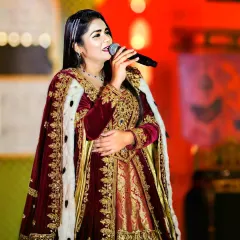 Dressed for a grand destination wedding in Udaipur. I believe my on-stage presence and attire should match the grandeur of your event, adding a touch of royalty and elegance to the celebration.