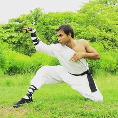 This pose showcases the detail of the snake style, a form I teach that is known for its fluid motion and targeting vital points. It is a beautiful and effective part of Shaolin Kung Fu.