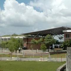 The campus at Symbiosis International University in Pune is a showcase of sustainable design. Features like green roofs, eco-friendly construction materials, and efficient water management systems are integral to the project.