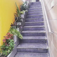 A wider view of the staircase planters. Lining them up along the side creates a beautiful green border that transforms a purely functional space into a decorative garden path.