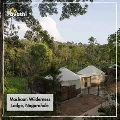 The Machaan Wilderness Lodge in Nagarhole offers a unique stay in spacious yurts. It’s a perfect base for exploring the national park while enjoying a serene and comfortable retreat.