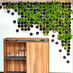 A highly creative and space-efficient installation at The Fixx, using simple pipe sections to create a cascading green feature on the wall. This design demonstrates our ability to craft unique, artistic solutions for any interior.