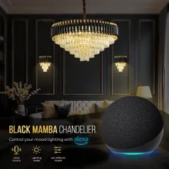 My smart chandeliers, like the Black Mamba, are Alexa-enabled for full voice control. This is the next level of home luxury, where technology and design meet.