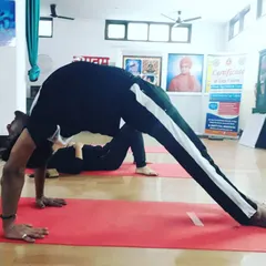In my classes, I also guide more experienced practitioners to safely explore advanced postures. Here, a student works on a variation of Chakrasana (Wheel Pose), demonstrating strength, flexibility, and trust in their practice.