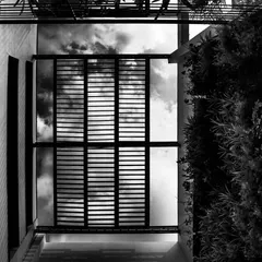 The same view of the bamboo pergola and green wall, presented in black and white. This perspective highlights the strong architectural lines and the beautiful contrast between the built form and the natural elements of sky and plants.