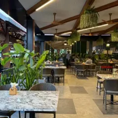 The open cafe space at Karnataka Golf Association, designed for calm and connection. Large planters with broad-leafed plants are used to define seating areas and create a sense of intimacy within the large, open-plan space.