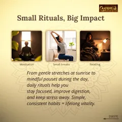 Small daily rituals have a big impact on your health. From gentle stretches at sunrise to mindful pauses during the day, these simple, consistent habits help improve digestion, stay focused, and keep stress away.