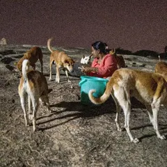 Surrounded by her furry friends, a feeder makes sure everyone gets their share. This is what community animal welfare looks like on the ground.