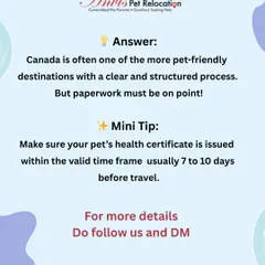 And the answer is Canada. Canada often has a clear and structured process, making it one of the more pet-friendly destinations. However, the paperwork must be perfect, and health certificates have a strict valid timeframe.