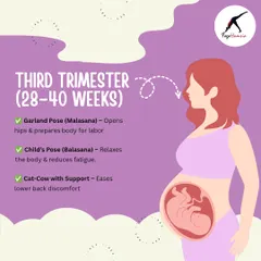 As you approach your due date in the third trimester, our focus shifts to opening the hips and relaxing the body. Poses like Garland Pose (Malasana) prepare you for labor, while Child's Pose (Balasana) helps reduce fatigue.