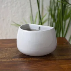 A closer look at my versatile white ceramic wall planter. It has a keyhole on the back for easy hanging, but its flat base also allows it to sit beautifully on a tabletop.