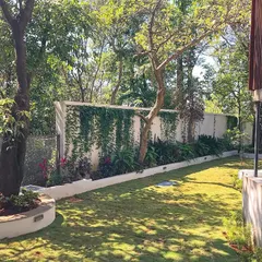 We used a combination of climbing plants and dense foliage along the boundary wall to create a living green curtain. This ensures complete privacy and a feeling of being enveloped by nature within the Khandala property.