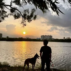 A quiet moment watching the sunset with Floyd after a long walk by the lake. My goal is to help you find these peaceful, connected moments with your dog in the beautiful outdoors around Bangalore.