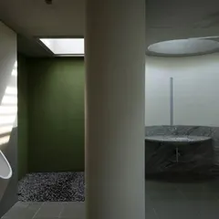 Even utilitarian spaces are considered opportunities for architectural expression. In this restroom at the Vismaya museum, a skylight illuminates a small, planted courtyard, bringing nature and daylight into a typically enclosed space.