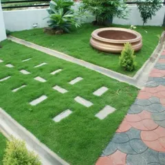 A practical and neat garden layout featuring a lawn with inset stepping stones and a contrasting interlocking paver path along the edge. This design clearly defines walking areas from the green space.