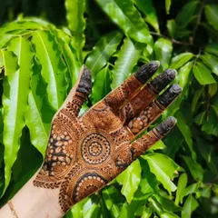 The result of a henna session on a shaky train to Chennai! It was a challenge, but I'm proud of how this intricate design turned out.