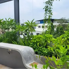 This is a view of the landscape garden we designed and maintain for F Gear in Bengaluru. The project features built-in concrete planters with a modern, curved bench, filled with a mix of lush foliage and flowering plants to create a rooftop retreat.
