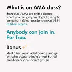 Our goal with these free AMA sessions is to help all pet parents raise happier dogs by providing reliable solutions to their everyday challenges.