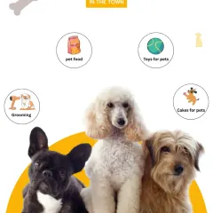A clear and simple graphic outlining my main services. It lists pet food, toys, grooming, and cakes, with three happy dogs representing my diverse clientele.