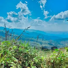 A beautiful capture of the blue sky and green hills on a clear day.