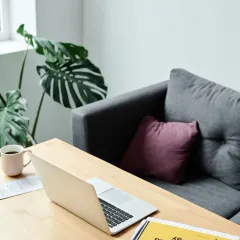Even a single, well-placed plant can transform a workspace. A large Monstera in the background adds life and a sense of calm to this professional setting, promoting a more relaxed and creative atmosphere.