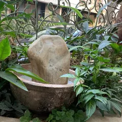 A natural stone fountain nestled amongst lush greenery in a building's outdoor area, creating a welcoming and peaceful ambiance.