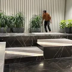 Bringing nature into the most personal spaces. Here, I used a combination of tall and medium-height plants to create a private, spa-like oasis in a modern marble bathroom, proving any room can be a garden.