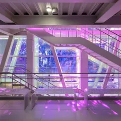 The central staircase at the Museum of Art and Photography (MAP) in Bengaluru, where dichroic film on the glass facade bathes the space in shifting colors. This element turns a simple circulation area into a dynamic experience of light, reflecting our belief that even functional parts of a building can be joyful and inspiring.