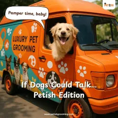 Pamper time, baby! This happy dog is ready for his luxury grooming session, popping his head out of my van with excitement.