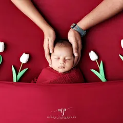 We believe in capturing the whole family's love. This tender moment shows a newborn's head cradled safely in their parents' hands, a simple yet powerful portrait of connection that is always part of our sessions.