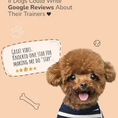 Another imaginary review from a dog. This one gives four stars, knocking one off for having to do 'Stay.' It's a humorous take on a dog's perspective of training.