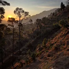 The journey to our sites in Uttarakhand is as important as the destination. The landscape unfolds through terraced fields and winding paths, informing our design approach which seeks to create buildings that are simple, functional, and deeply local.