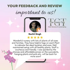 Your feedback is so important to us. We are overjoyed to receive such a wonderful review from Rachit, who was spoiled for choice by our collection.