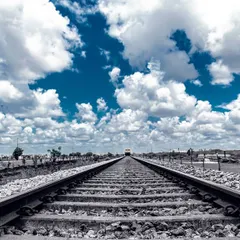 Composition is all about telling a story. Here, I used the railway tracks as 'leading lines' to draw your eye into the distance. We'll explore how to find and use these lines in landscapes and cityscapes to create powerful, dynamic images. I also applied a selective color effect in editing to make the sky pop.