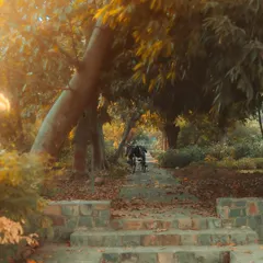 A peaceful scene from Sunder Nursery, with a person on a wheelchair enjoying the autumn colors. This photo is about finding tranquility and beauty in everyday moments.