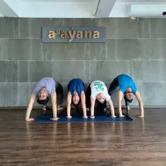 Are you ready for our 30-Day Chakrasana Journey? Join our community in a daily commitment to building strength, flexibility, and trust in your backbend practice.