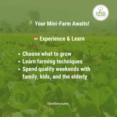 With a Farmlet subscription, you get to experience and learn. You can choose what to grow, learn organic farming techniques from our team, and spend quality weekends at the farm with your family.