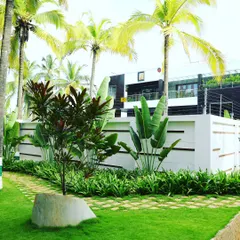 This shows the integration of hardscape and softscape with a stone-and-grass pathway. The design uses layers of tropical plants like Strelitzia and Cordyline against a clean white wall to create depth and visual interest.