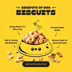 Dog biscuits are more than just a snack. As this graphic shows, they can be an energy booster, an aid in training, and can even help promote your dog's dental health.