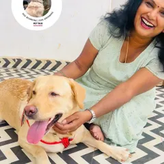 Nothing makes me happier than a happy dog. This smiling Labrador is getting some love and pets in our play area.