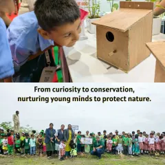 From curiosity to conservation. A young student examines a birdhouse at one of our events, while another image shows a large group of school children at a plantation site. Our goal is to spark a lifelong interest in the environment.