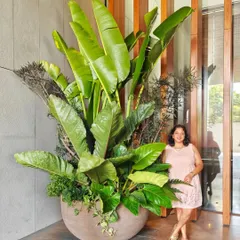 An oldie but a goodie! Our co-founder, Komal, posing proudly with one of her arrangements that truly screams "Go big or go home!" This massive cluster shows our love for creating bold, unforgettable plant statements.
