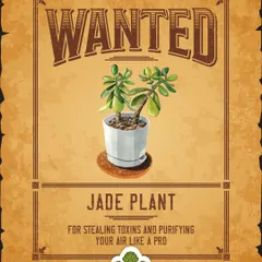 Wanted: The Jade Plant, for its notorious ability to steal toxins from the air and purify your space like a pro. This plant is a well known accomplice in bringing good luck and sharp focus.