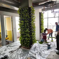 A work-in-progress shot of freestanding living wall pillars being installed in an office. The floor is protected as our team carefully plants the greenery.
