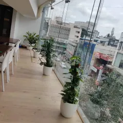 A row of assorted indoor plants, including a Monstera, lines the window of this office, creating a refreshing green barrier and improving the view for employees.