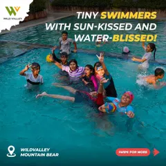 Time to make a splash. Our swimming pool is the perfect place for kids to cool off and have fun, with a dedicated shallow area ensuring a safe and enjoyable time for our tiniest swimmers.