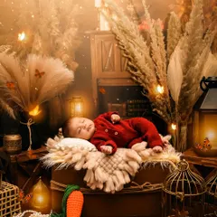 A cozy, rustic scene with a baby in a red knit outfit sleeping in a warm, lantern-lit setting. The pampas grass and wooden props create a wonderfully autumnal feel.