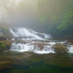 A misty waterfall near a living root bridge in Meghalaya. Using a slow shutter speed, the flowing water is transformed into a milky, ethereal cascade.